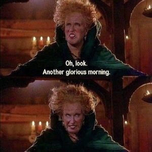 Meet your Posher, Tasha